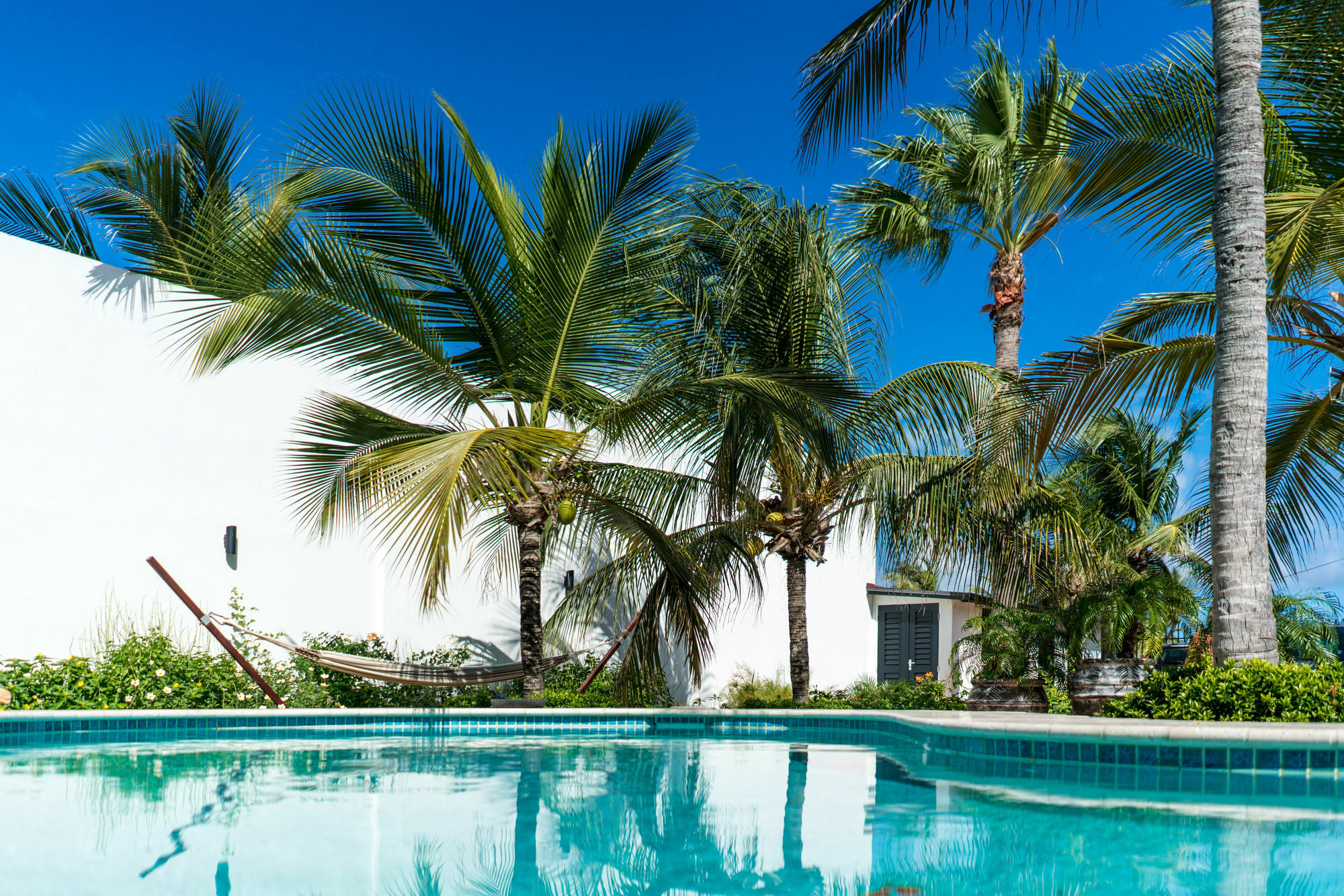 Готель Cas Elizabeth Palm Beach Екстер'єр фото